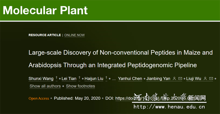 文章在线页面 文章在线页面
