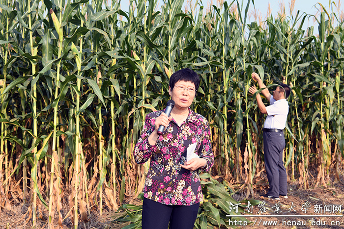 ʡ���ײ�ҵ��ϵ��ϯ��ѧ�ҡ����ٿ���
��������ڽ������������������