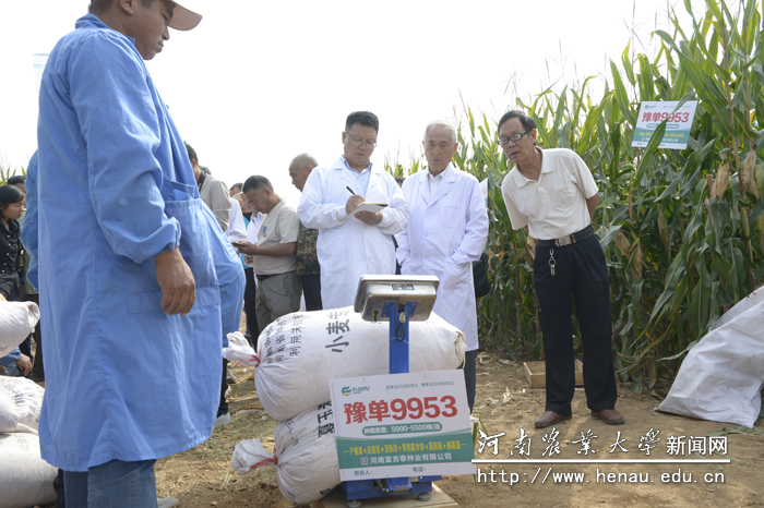 认真称重 认真称重